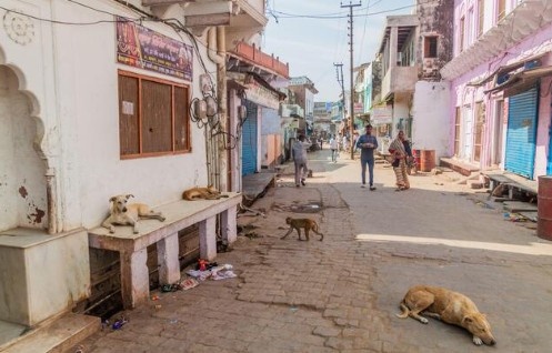 Ganga County Living Room