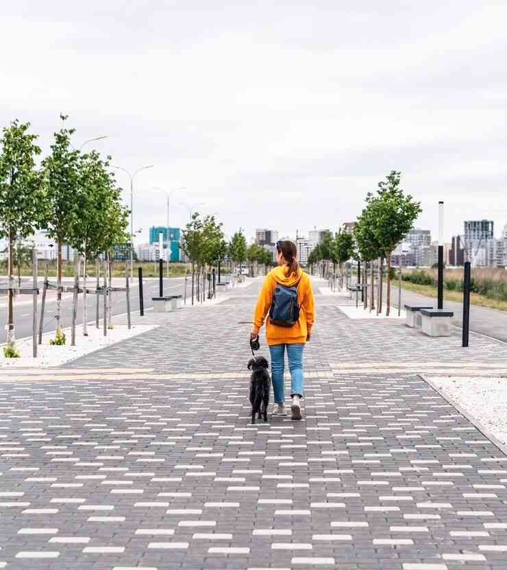 Vehicle-Free